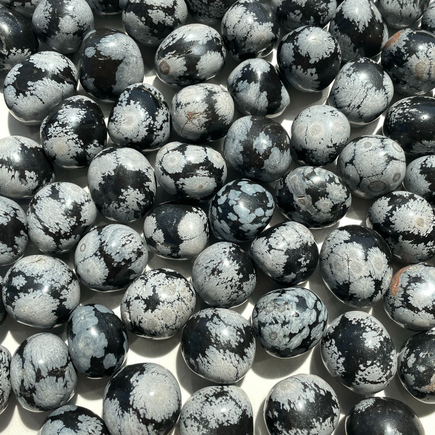 Snowflake Obsidian Tumbled 1KG (70-90 Pieces)