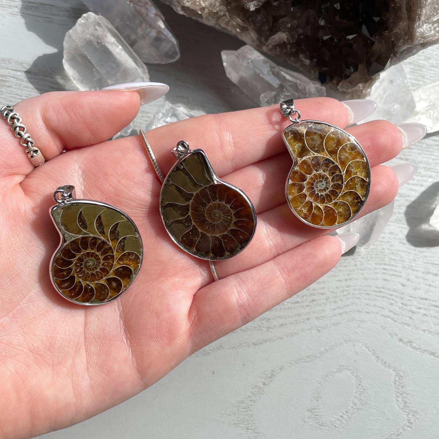 Ammonite Pendant - 1pc