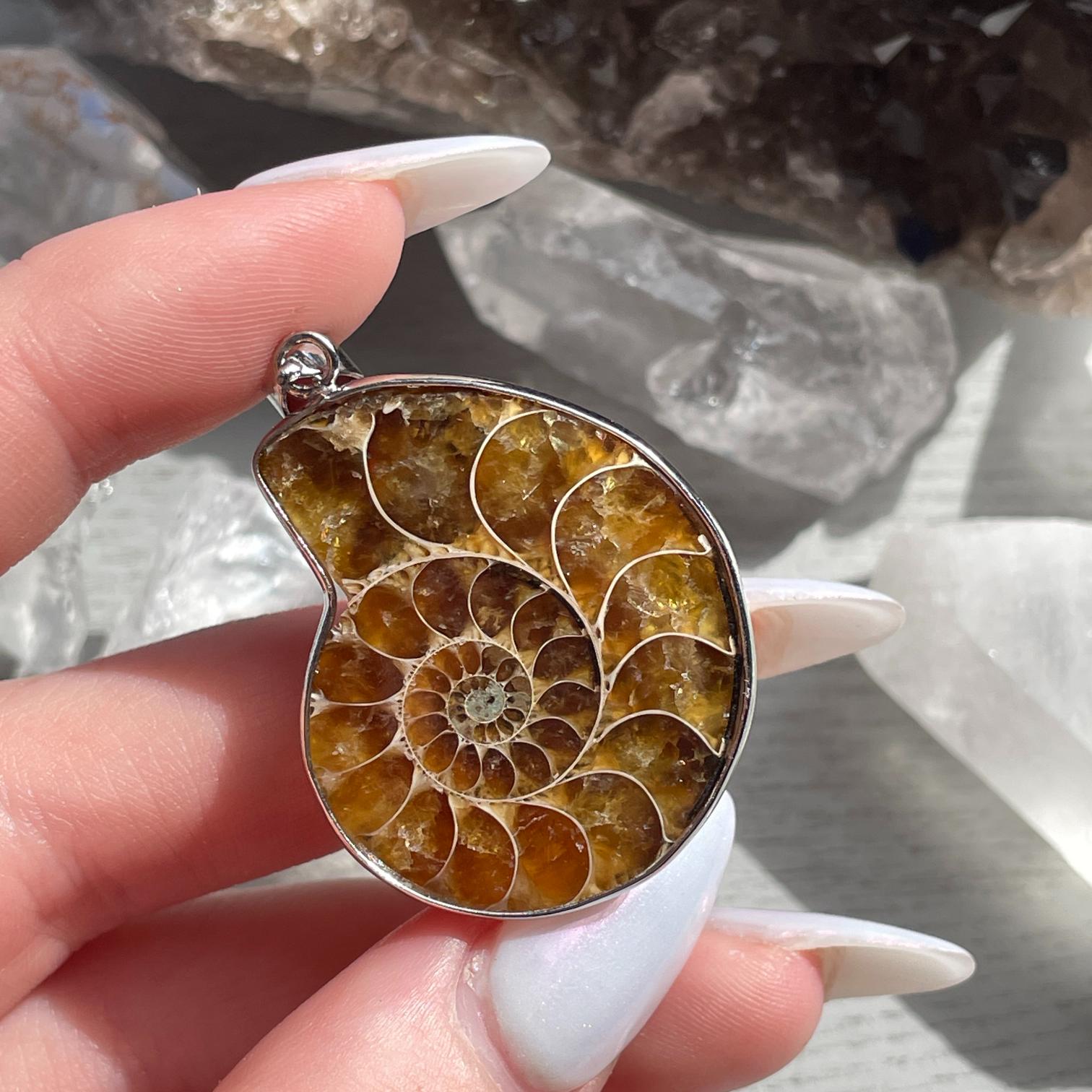 Ammonite Pendant - 1pc