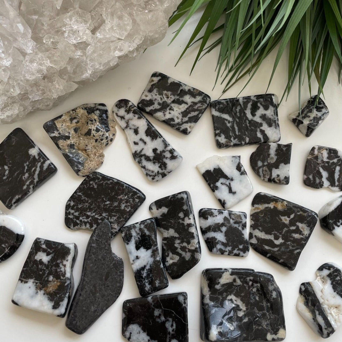 Polished Slabs - Zebra Jasper - 500g(15-25)pc