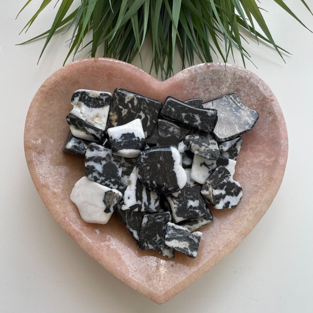 Polished Slabs - Zebra Jasper - 500g(15-25)pc