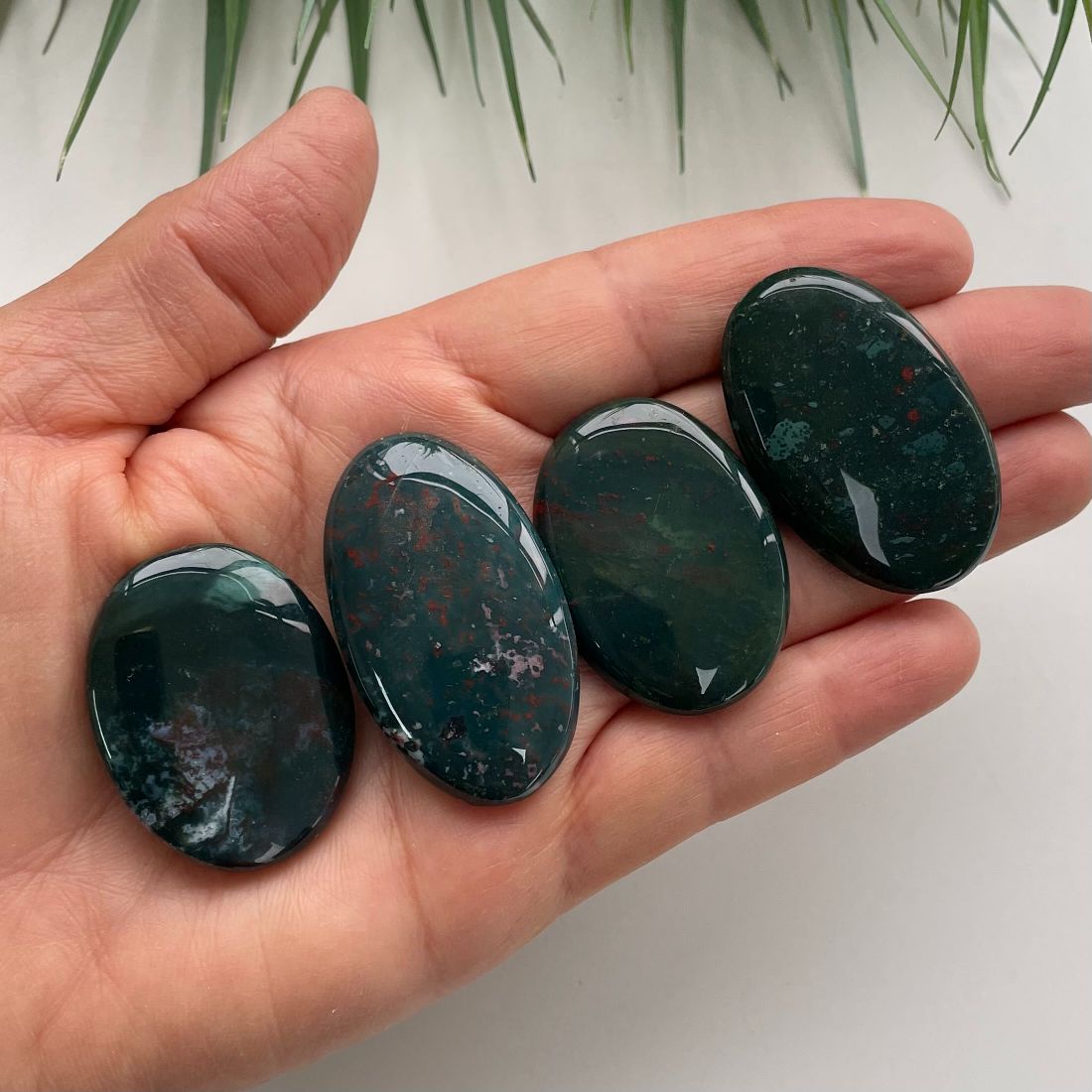 Bloodstone Cabochon - Round - 1pc