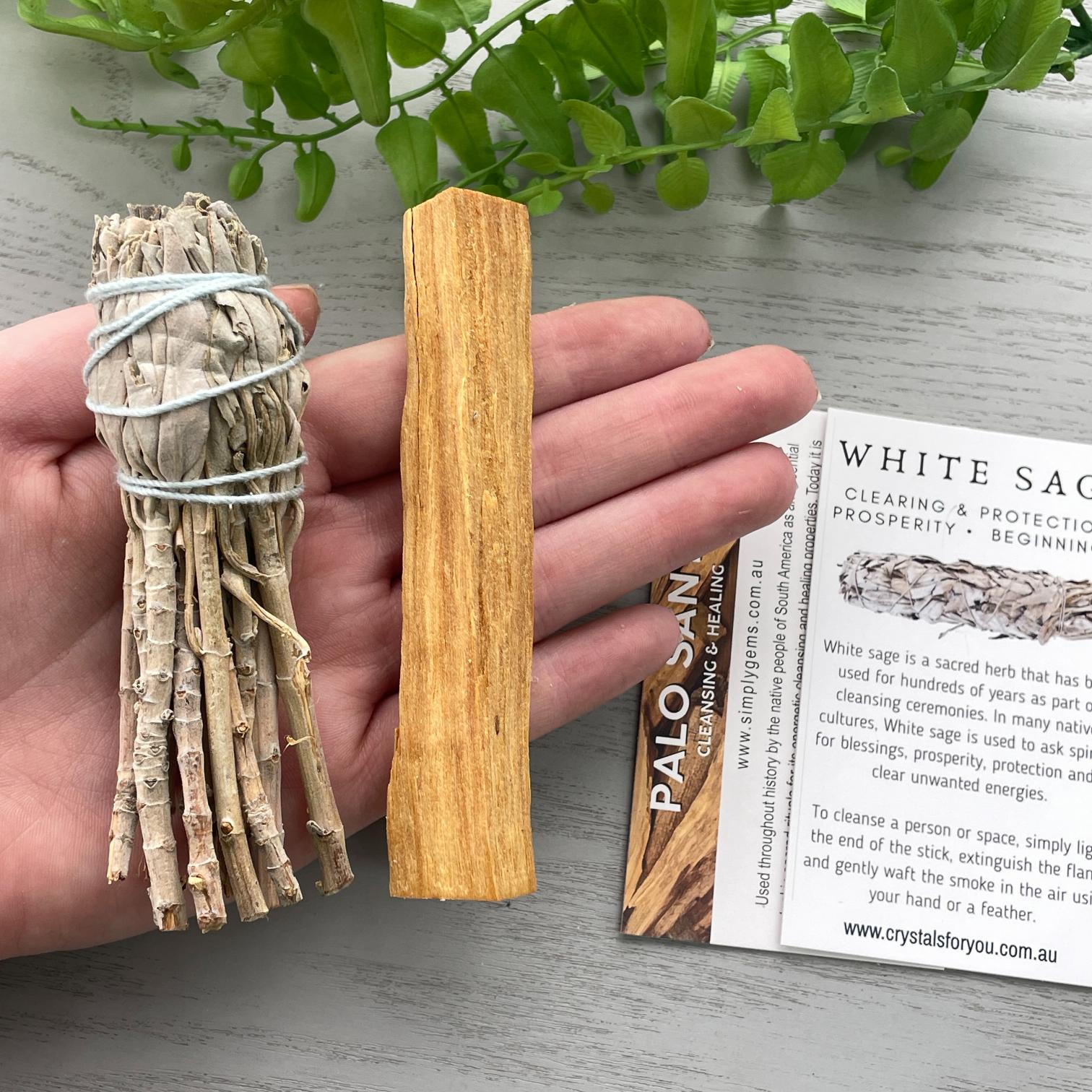 Cleansing Kit