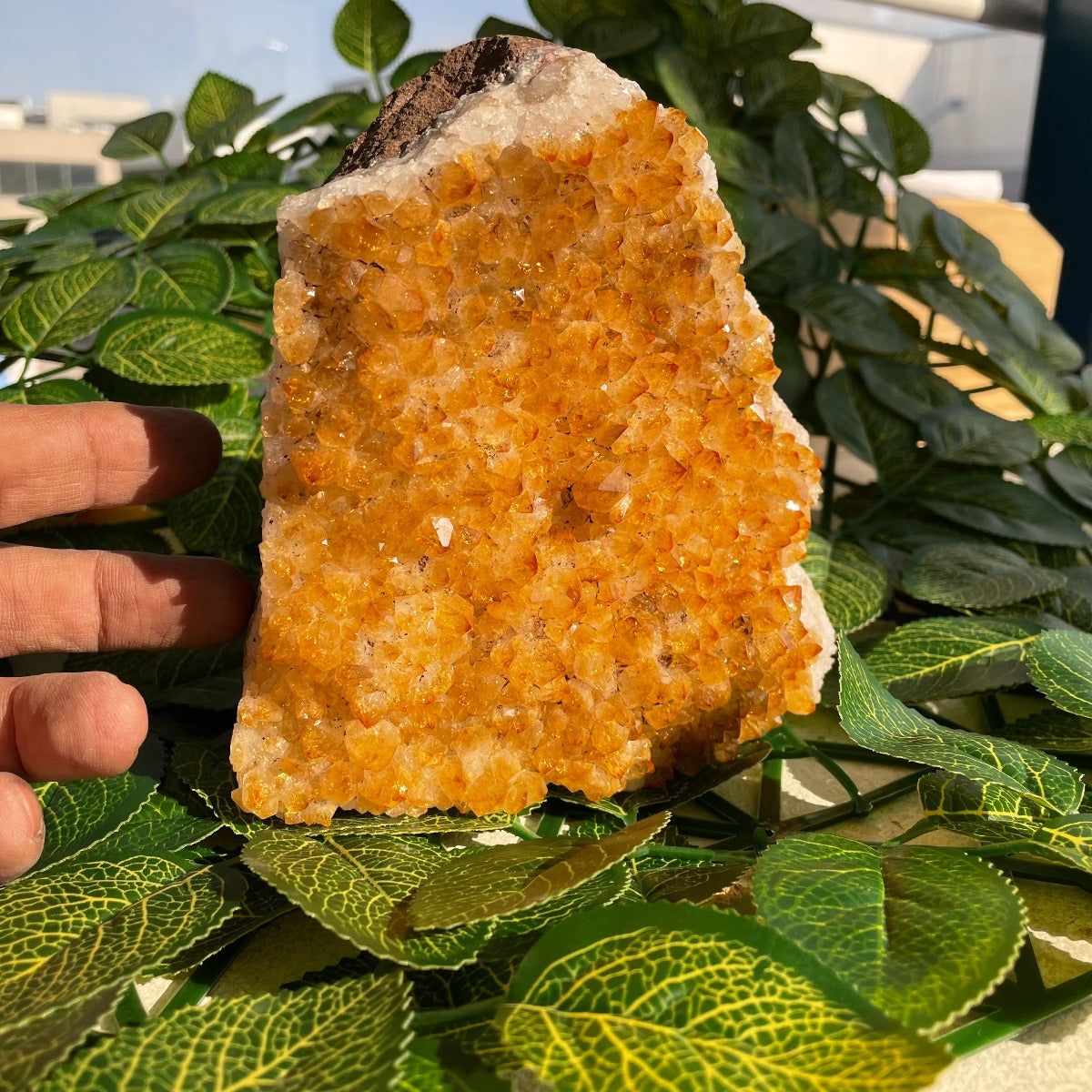 Citrine Cluster - 15