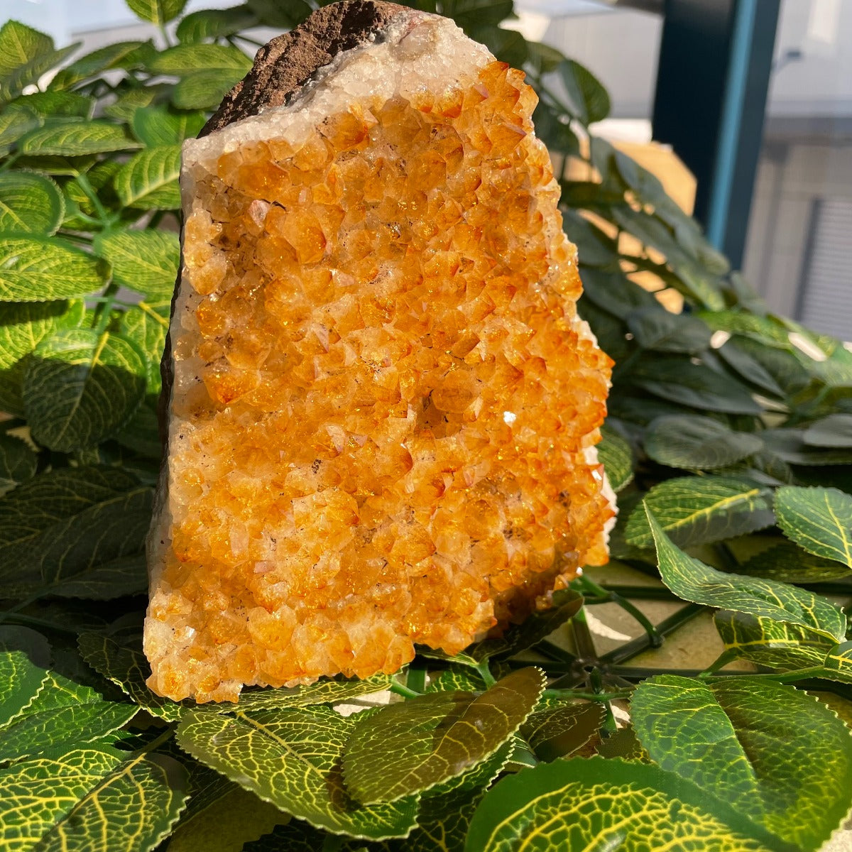 Citrine Cluster - 15