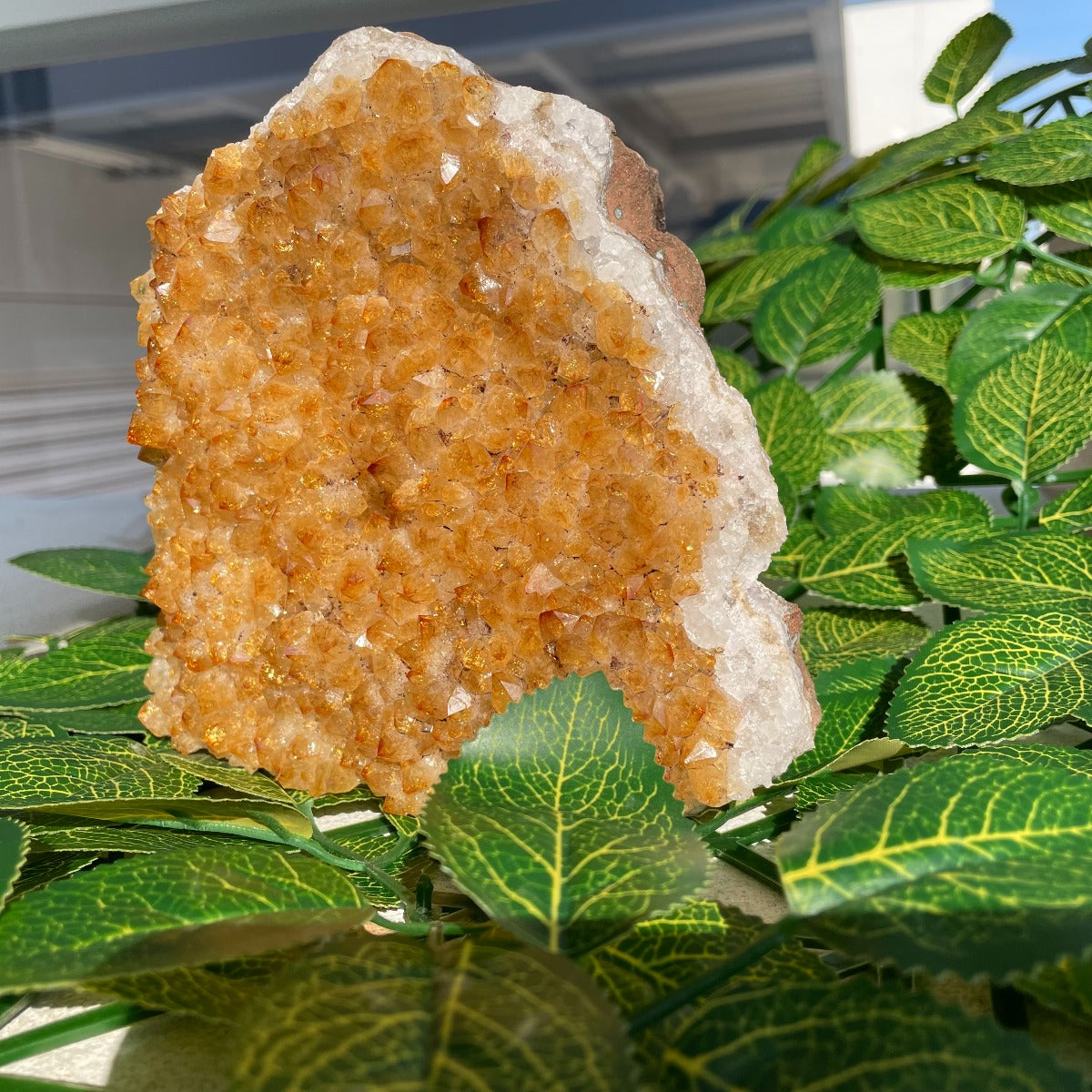 Citrine Cluster - 15