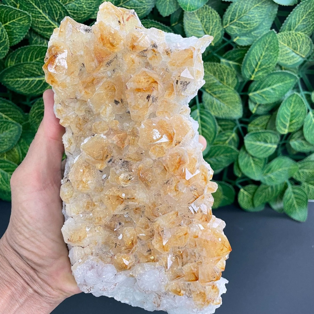 Citrine Cluster - 16