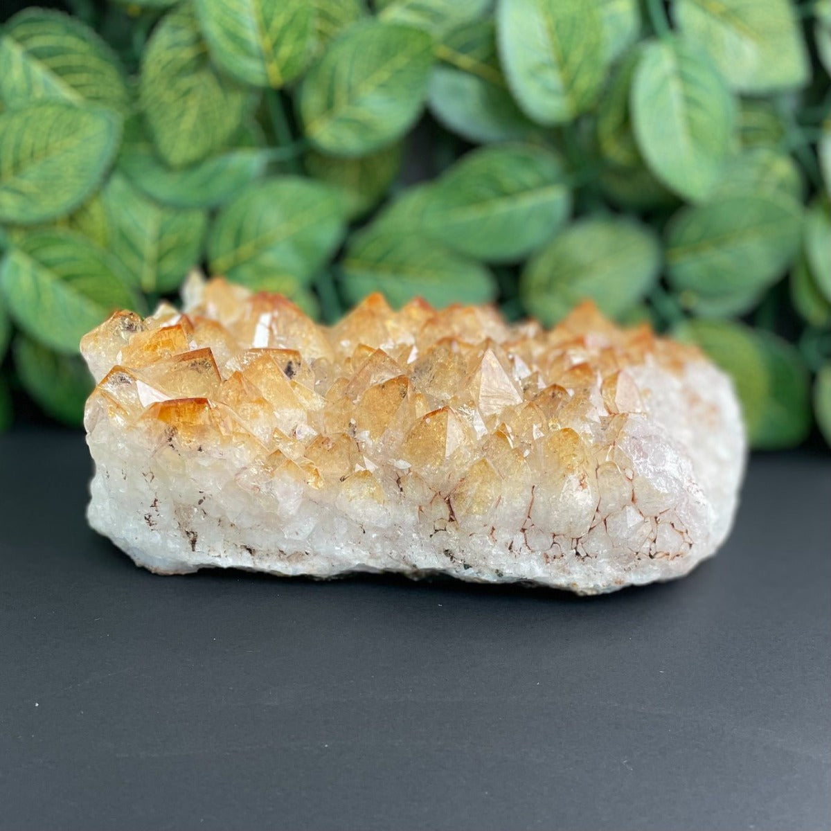 Citrine Cluster - 16