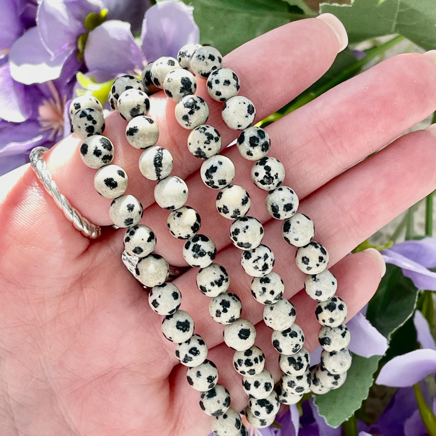 Dalmatian Jasper Beads Bracelet 6mm