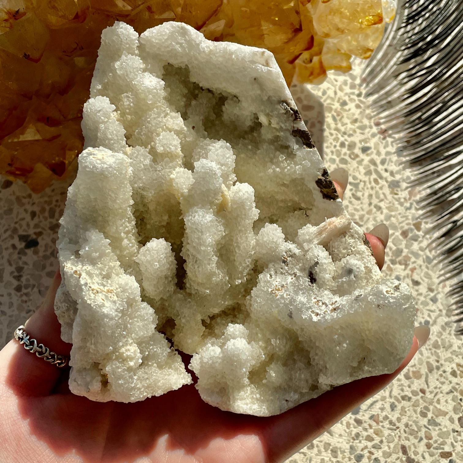 Apophyllite Cluster - 19