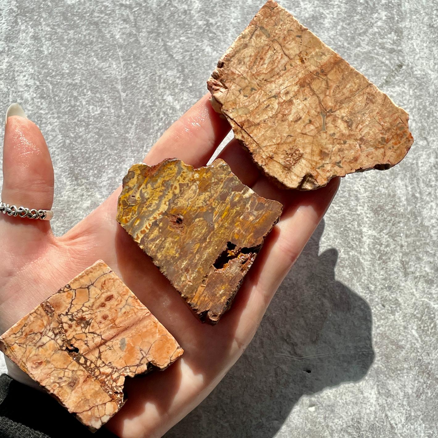 Rough - Slab - Birds Eye Jasper - 1KG