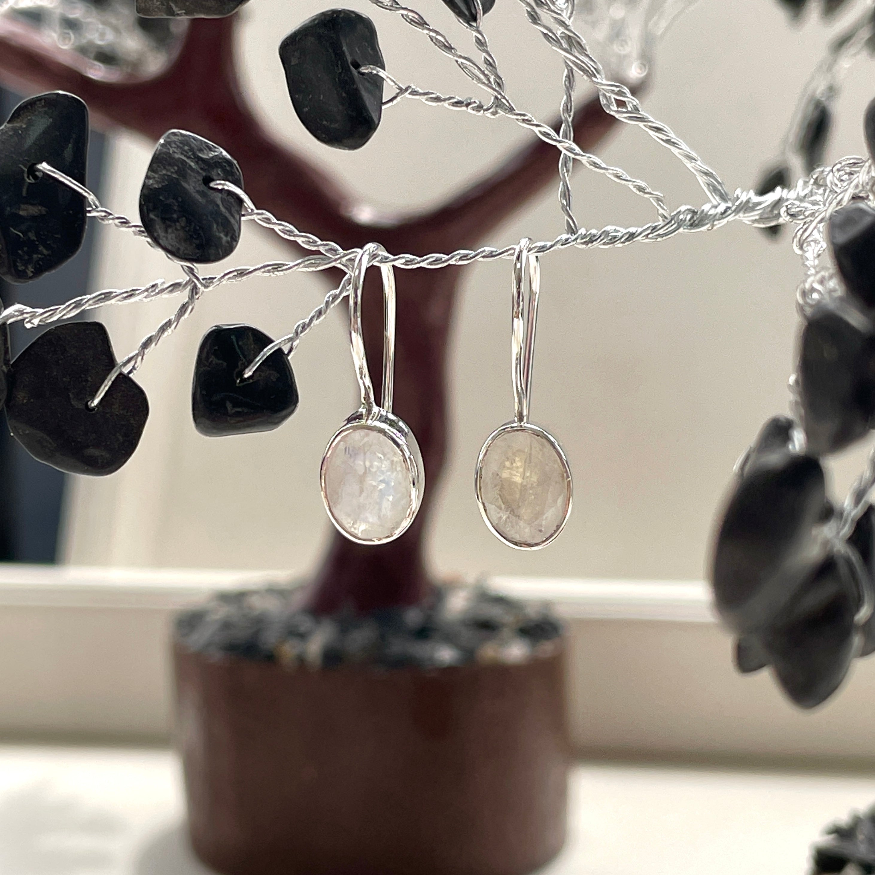 Sterling Silver Earrings - Rainbow Moonstone - Oval