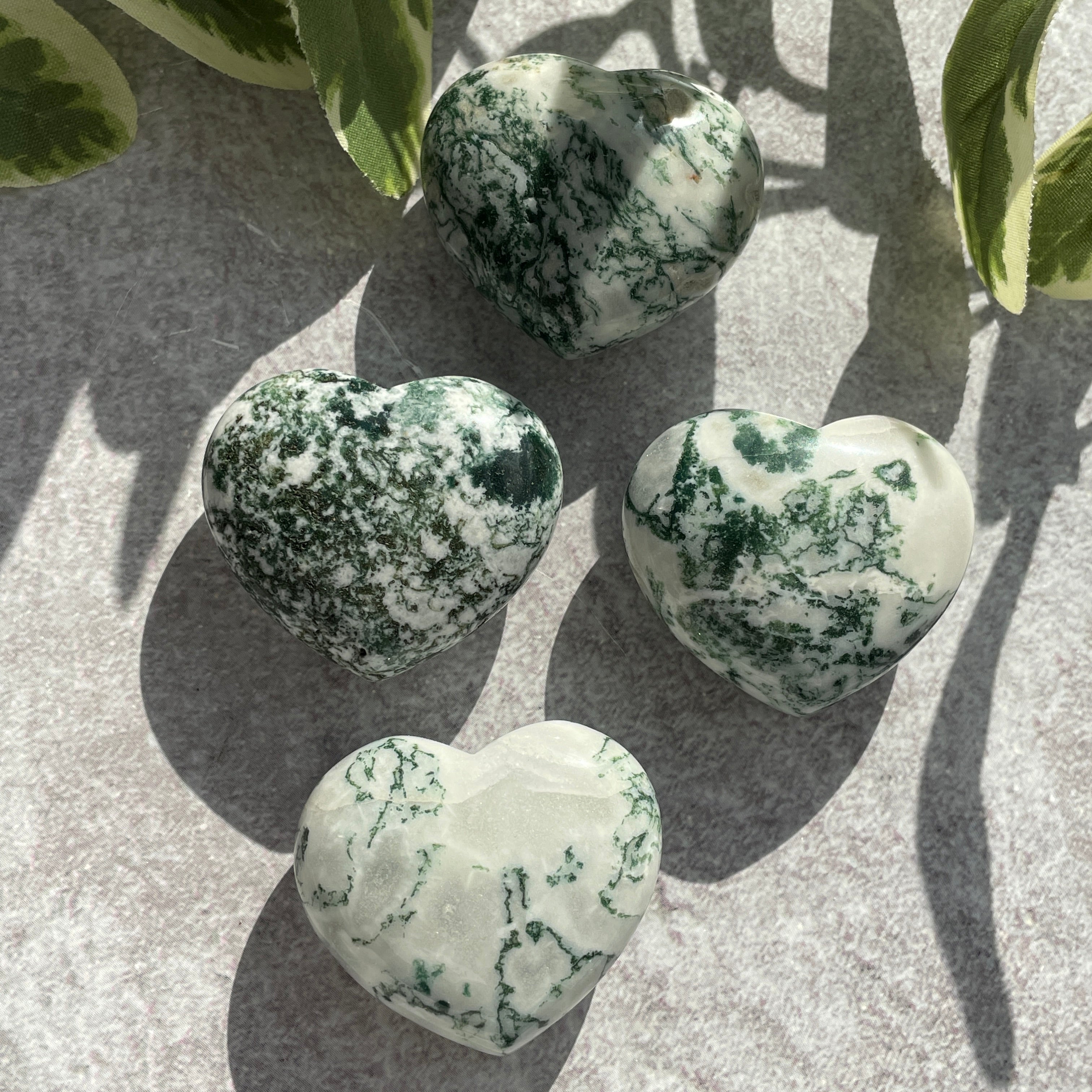 Tree Agate Heart 4cm
