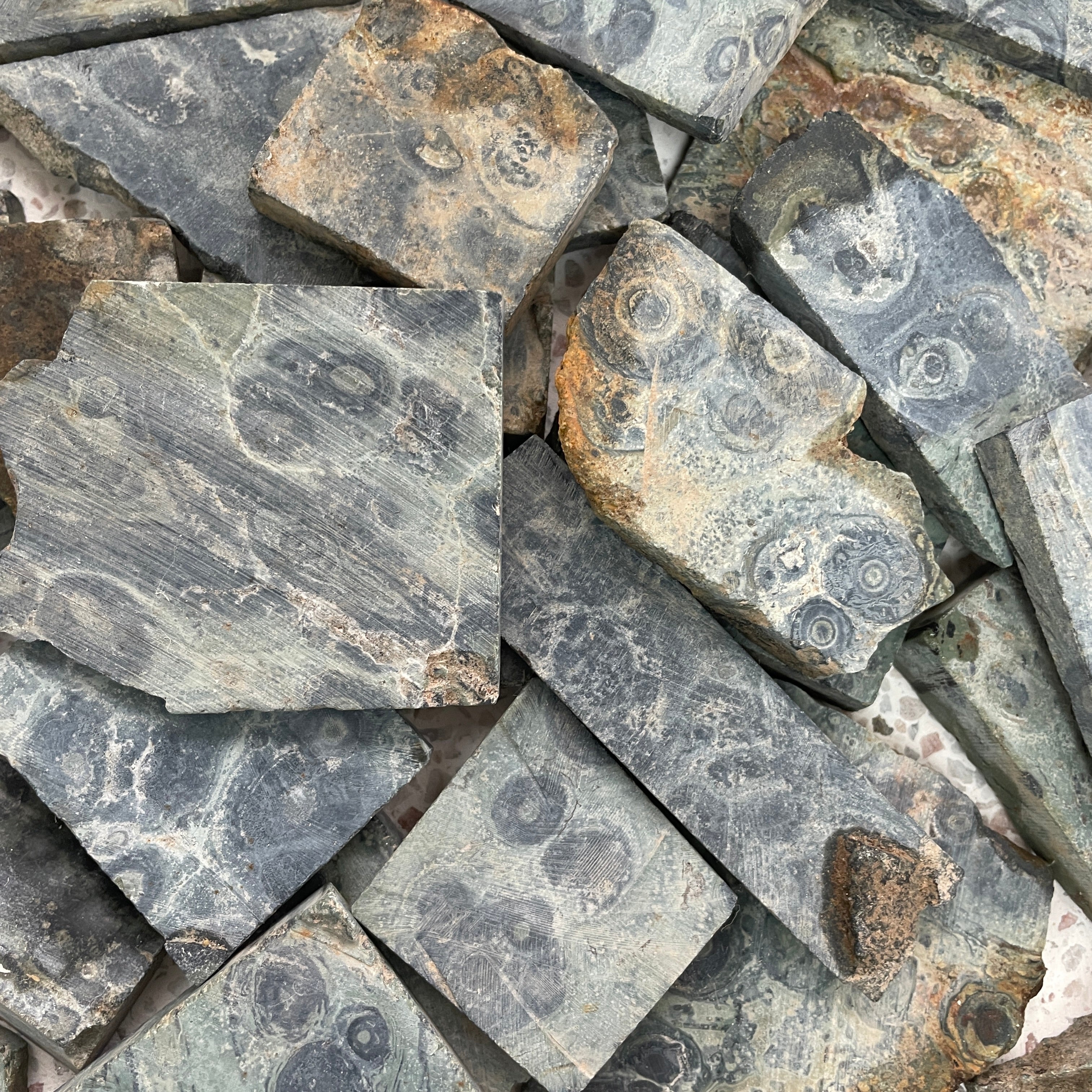 Rough - Slab - Kambaba Jasper - 1KG