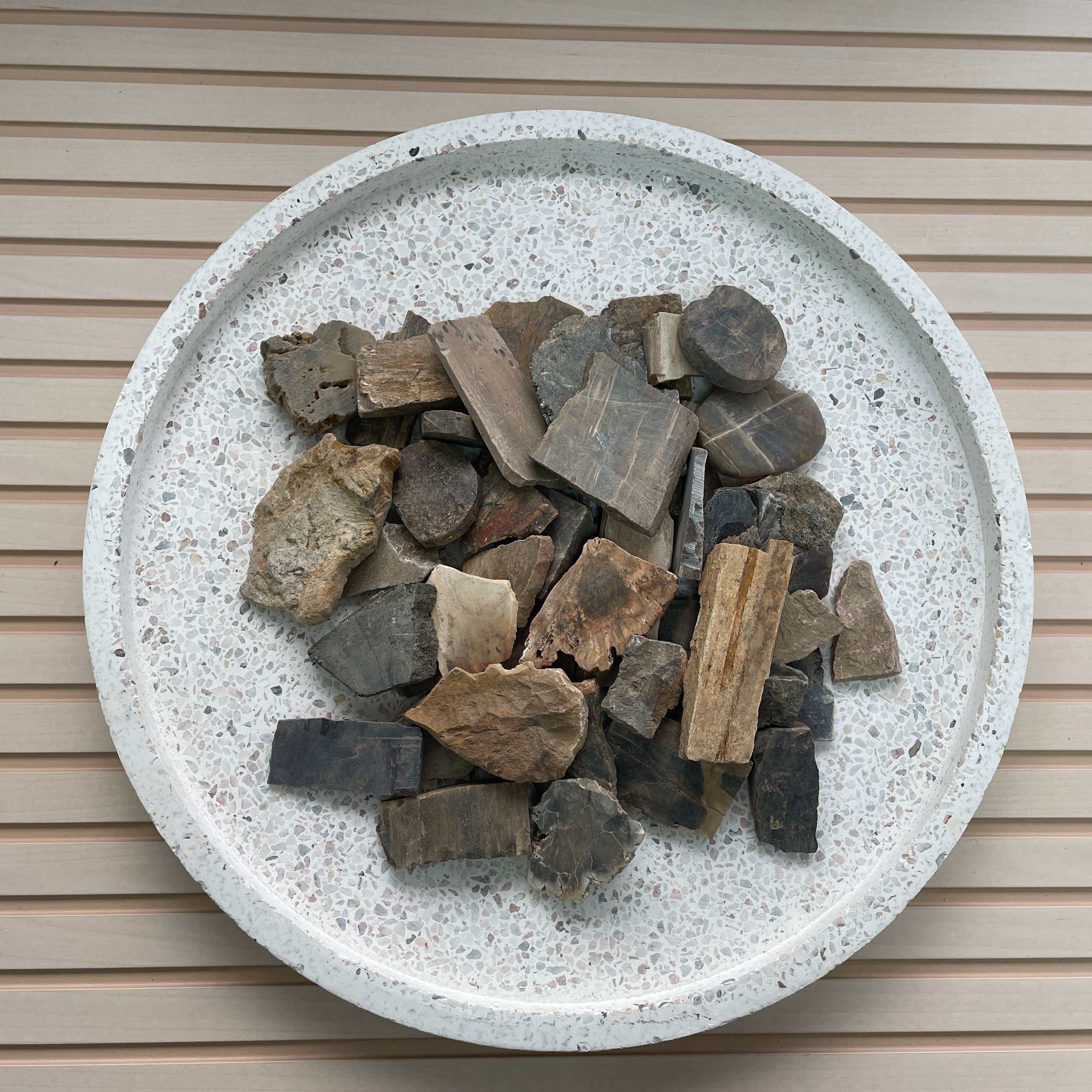 Rough - Slab - Petrified Wood - 1KG