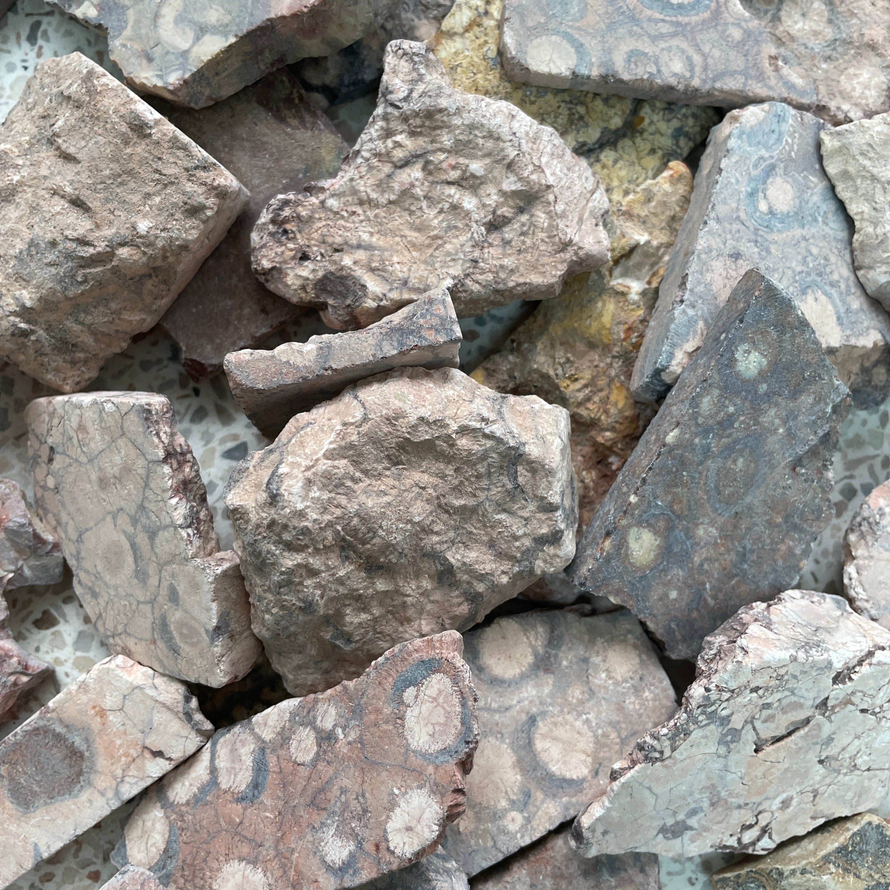 Rough - Slab - Birds Eye Jasper - 1KG