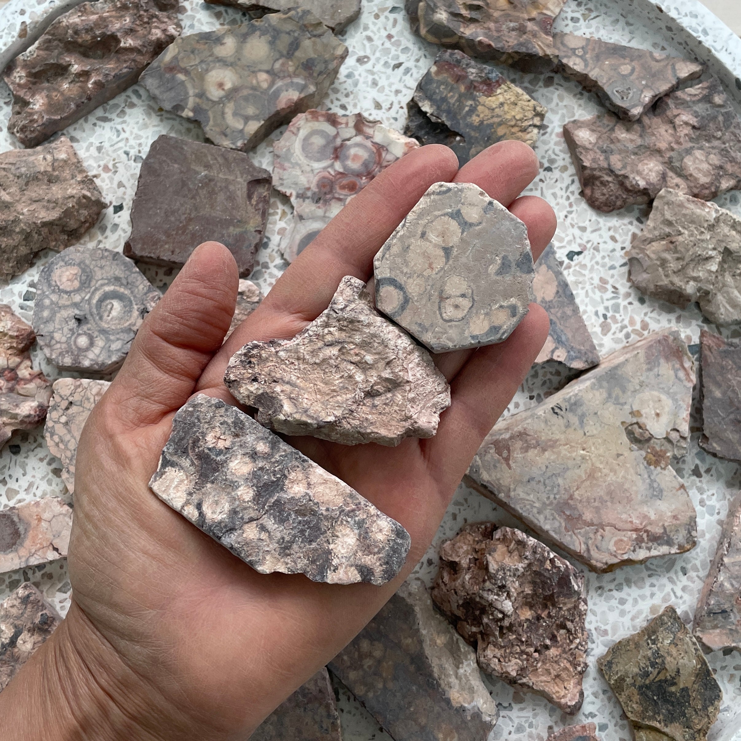 Rough - Slab - Birds Eye Jasper - 1KG