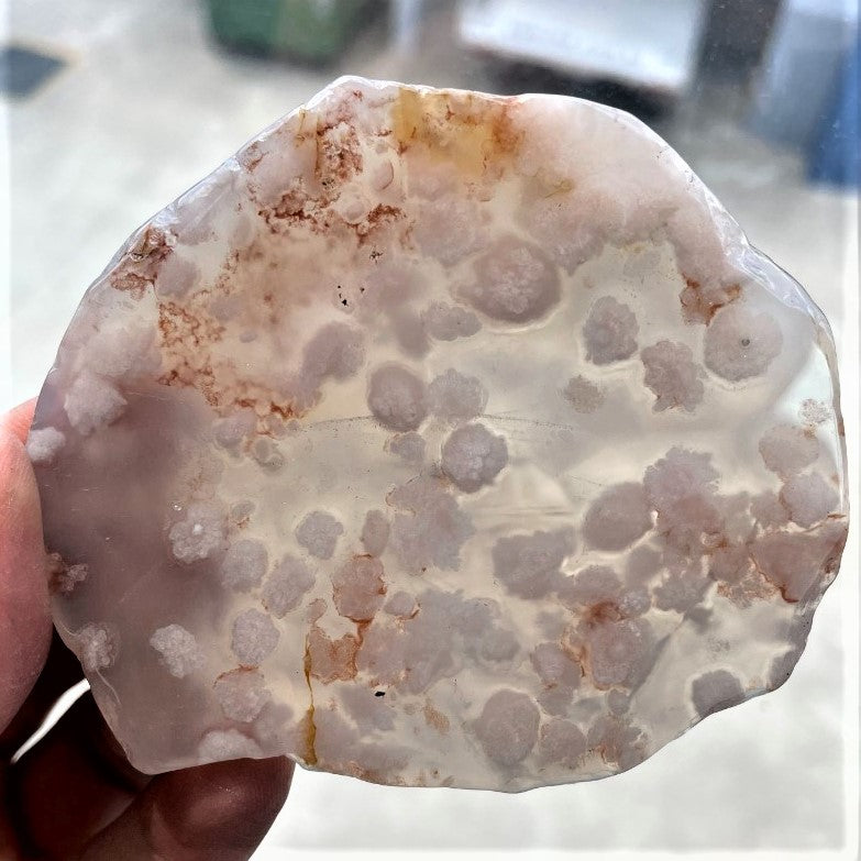 Polished Slabs - Flower Agate LGE - 500g (5-7pc)